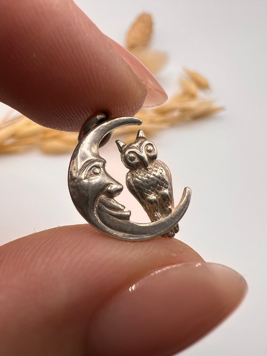 Vintage Silver Owl And The Moon Charm