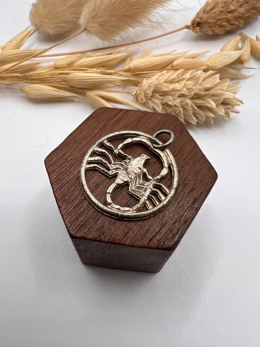Vintage Silver Zodiac Scorpio Medallion