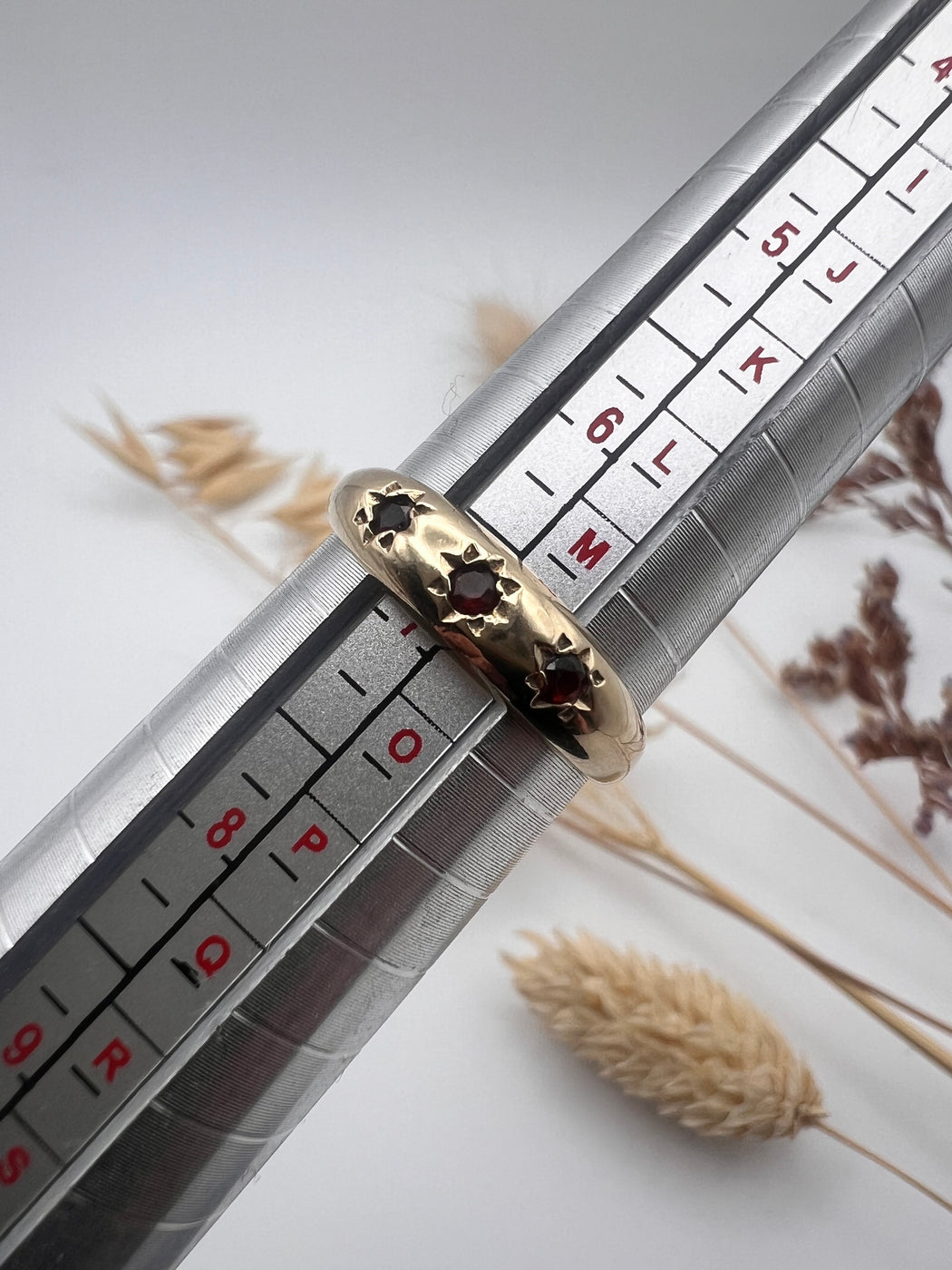 9ct Starburst Garnet Trilogy Gypsy Ring