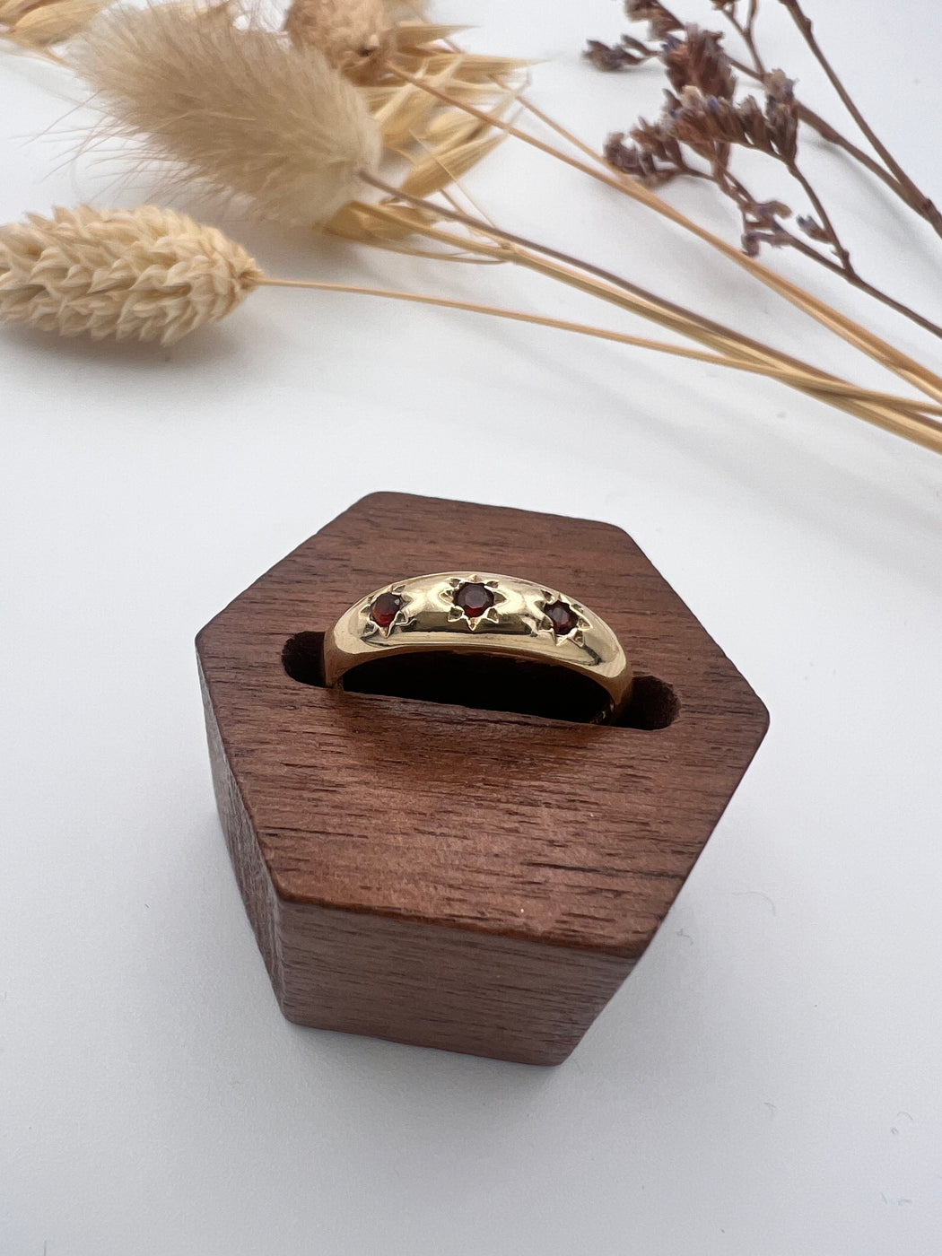 9ct Starburst Garnet Trilogy Gypsy Ring