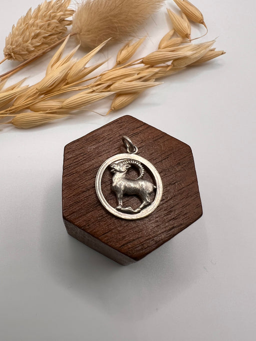 Vintage Silver Zodiac Capricorn Charm