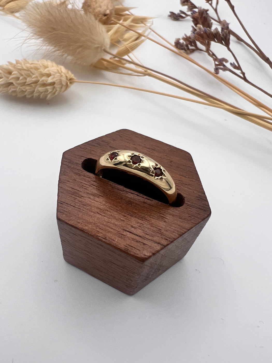 9ct Starburst Garnet Trilogy Gypsy Ring