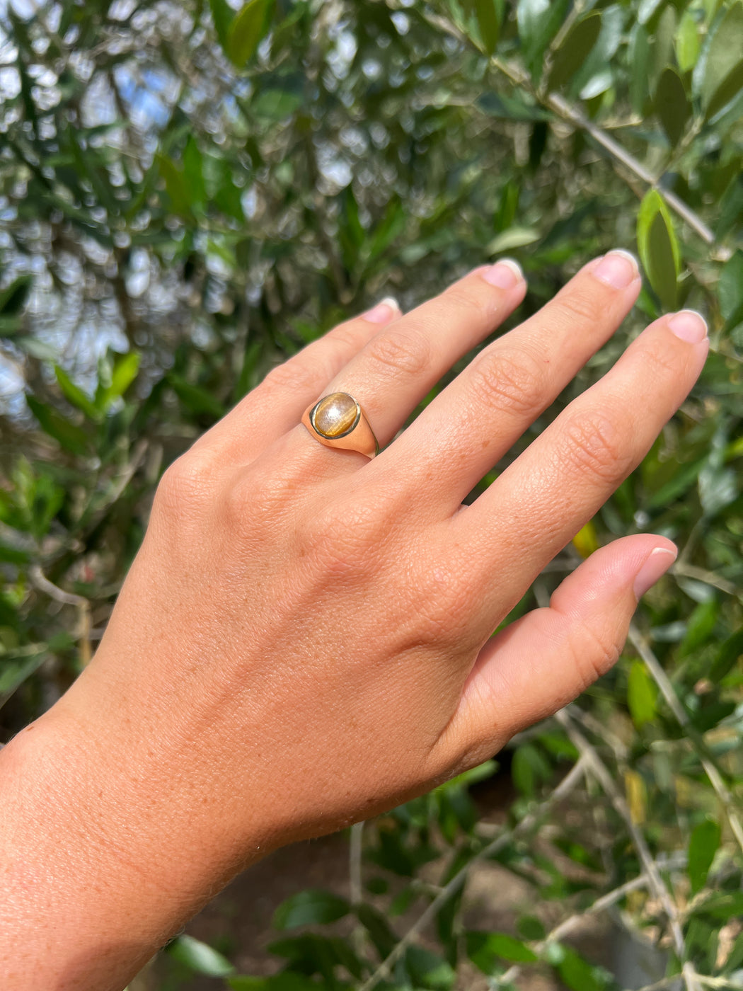 9ct Gold Oval Tigers Eye Signet Ring Size M