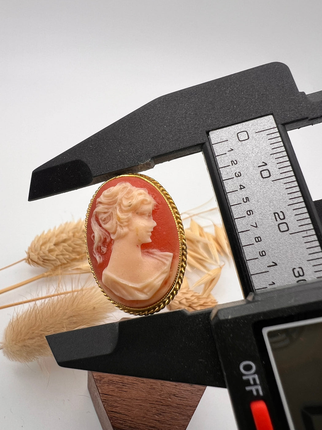 Vintage Gold Tone Cameo Brooch
