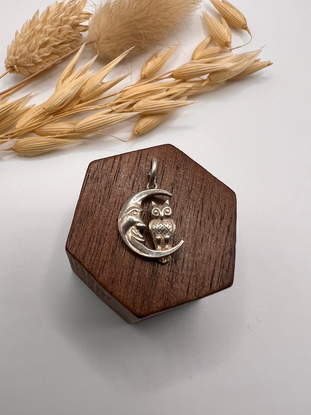 Vintage Silver Owl And The Moon Charm